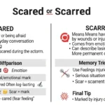 scared or scarred
