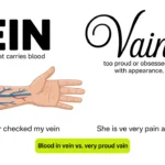 vein or vain
