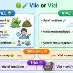 vile or vial