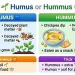 humus or hummus