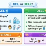 jell or gel