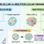 unicellular or multicellular