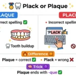 plack or plaque